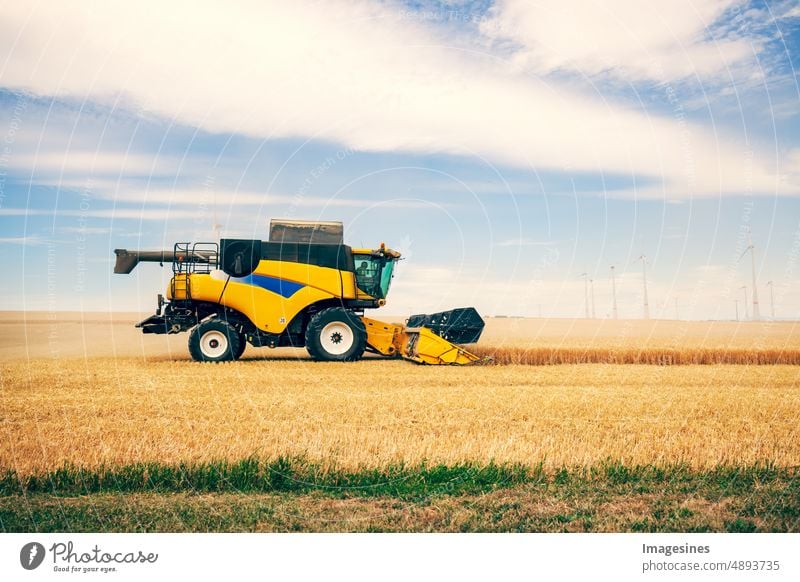 Mähdrescher auf einem Weizenfeld bei der Weizenernte landwirtschaftliches Feld landwirtschaftliche Maschinen Landwirtschaft Gerste Brot Getreidepflanze Mais