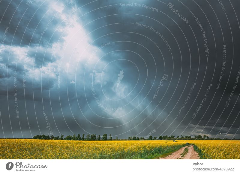 Dramatischer Regenhimmel mit Regenwolken am Horizont über ländlicher Landschaft Camola Colza Rapsfeld. Landstraße. Landwirtschaft und Wettervorhersage Konzept