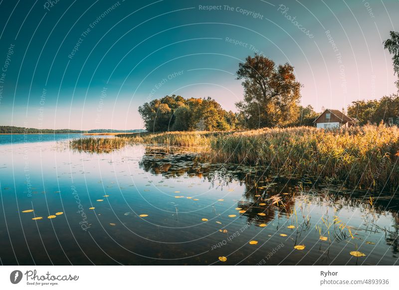 Sommer Natur. See oder Fluss in schönen Sommer sonnigen Tag. Grass Growing On Coast. Sunny Day, Landschaft mit See und alten kleinen Haus am Fluss Küste