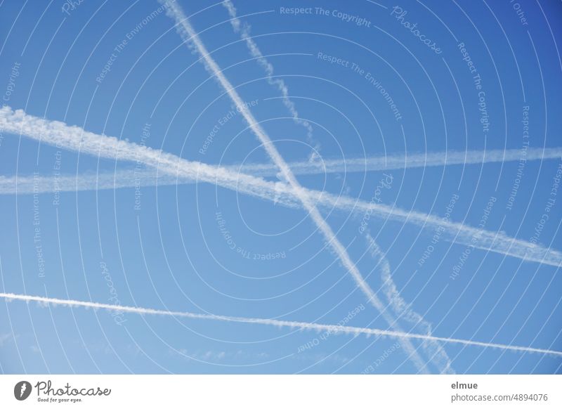 mehrere Kondensstreifen am blauen Himmel / Urlaub / Luftverkehr / Fernweh Homomutatus Flugverkehr Flieger fliegen Urlaubsflieger Sommer chemtrails Bonusmeilen