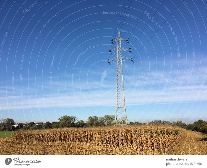 Ernte Feld Himmel Landschaft Mais Maisfeld Mast Horizont Landwirtschaft Sommerzeit Felder schön warmes Licht Stille ruhig Jahreszeiten idyllisch Acker