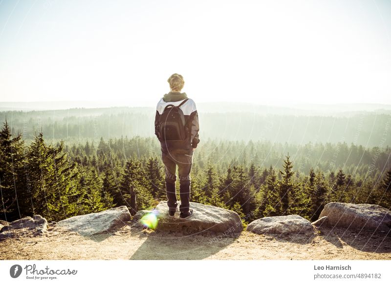 Wald-Aussicht Natur Nationalpark Harz harzmountains Brocken Baum Umwelt Landschaft Pflanze Textfreiraum oben wandern Außenaufnahme Tourismus