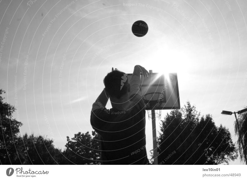 Streetball Korb Sommer Ballsport Basketball Sonne Schwarzweißfoto Sport werfen streetball