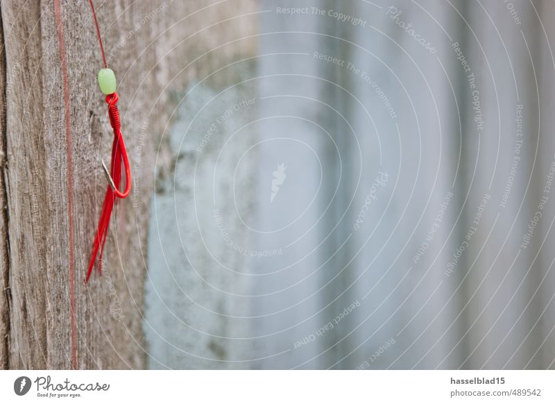 Am Haken Lifestyle Reichtum elegant Freude Glück sportlich Leben harmonisch Wohlgefühl Zufriedenheit Sinnesorgane Erholung ruhig Meditation Duft Kur Angeln