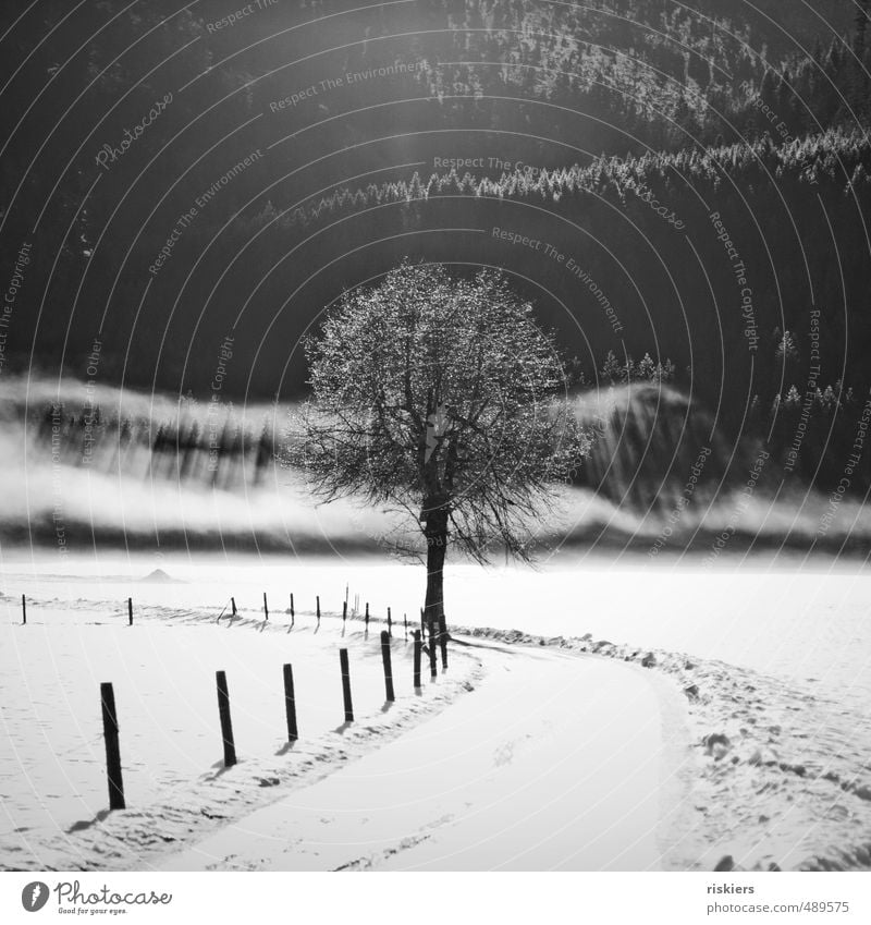 when clouds fall from sky Umwelt Natur Landschaft Pflanze Urelemente Sonnenaufgang Sonnenuntergang Sonnenlicht Winter Schönes Wetter Nebel Eis Frost Schnee Baum