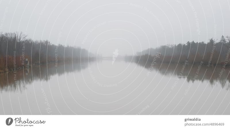 Nebelig, am Fluss Wasser Gewässer monochrom grau Herbst ruhig leise See schlechtes Wetter Landschaft Naturaufnahme Menschenleer gedeckte Farben Ruhe kalt