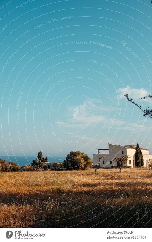 Friedliche Szenerie eines weißen Hauses auf einer Wiese in Mallorca Landschaft Natur MEER Meereslandschaft wohnbedingt malerisch Baum Cottage grasbewachsen