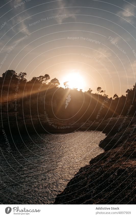 Silhouetten von Bäumen wachsen auf Klippen rund um Meer bei Sonnenuntergang MEER Landschaft Meereslandschaft Bucht Sonnenlicht Natur Meeresufer felsig Insel