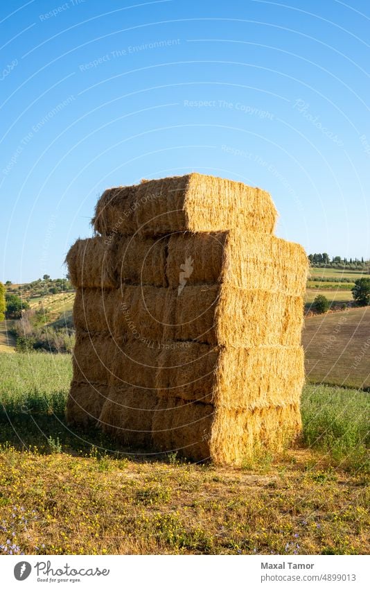 Ansicht von Heuschobern bei Montegridolfo, Italien Marche Tavullia Ackerbau Ballen Gerste blau Müsli Land Landschaft Ernte kultiviert Kultur Morgendämmerung