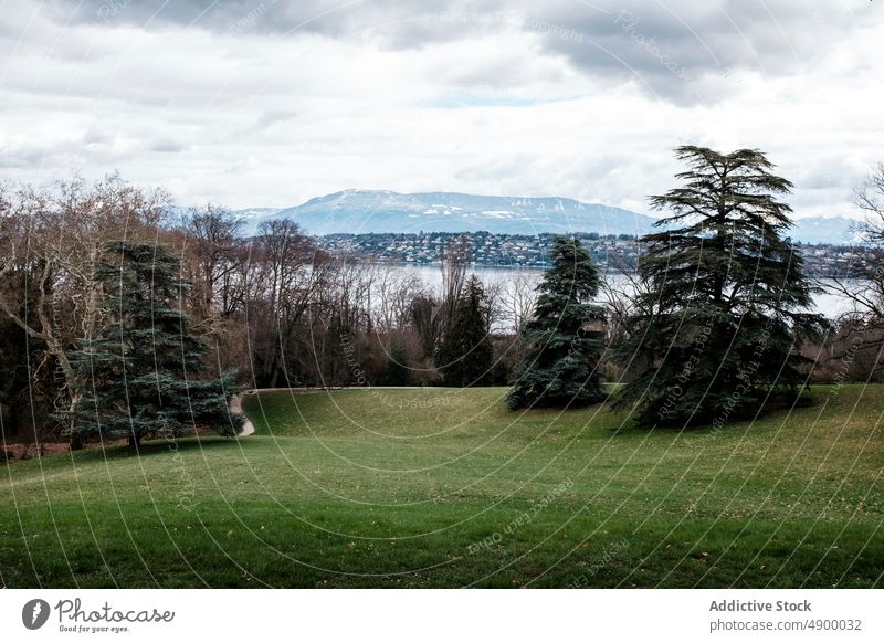 Grasbewachsenes Flussufer auf dem Land Wasser Ufer Küste Gebäude Stadt Landschaft Berge u. Gebirge Baum Haus wohnbedingt verweilen wolkig vegetieren Natur