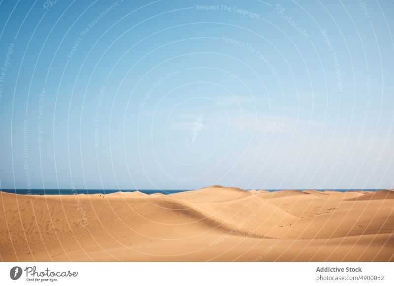 Wüstenlandschaft gegen Meer in der Natur Düne wüst Sand MEER trocken Küste Landschaft Ufer tropisch Blauer Himmel Meeresufer Sommer trocknen wolkenlos Gelände