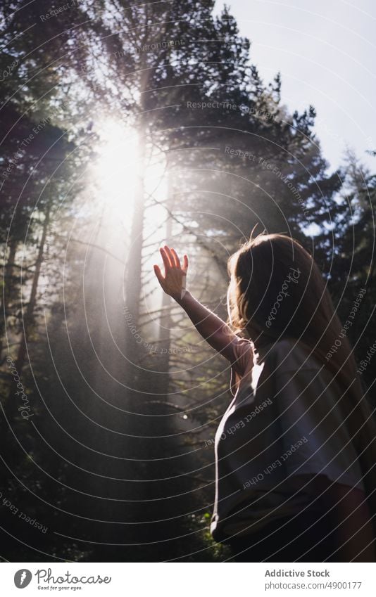 Wanderin versteckt sich vor den hellen Sonnenstrahlen, die durch die Äste im Wald dringen Frau Wälder reisen Baum hoch Landschaft ausgestreckter Arm Tierhaut