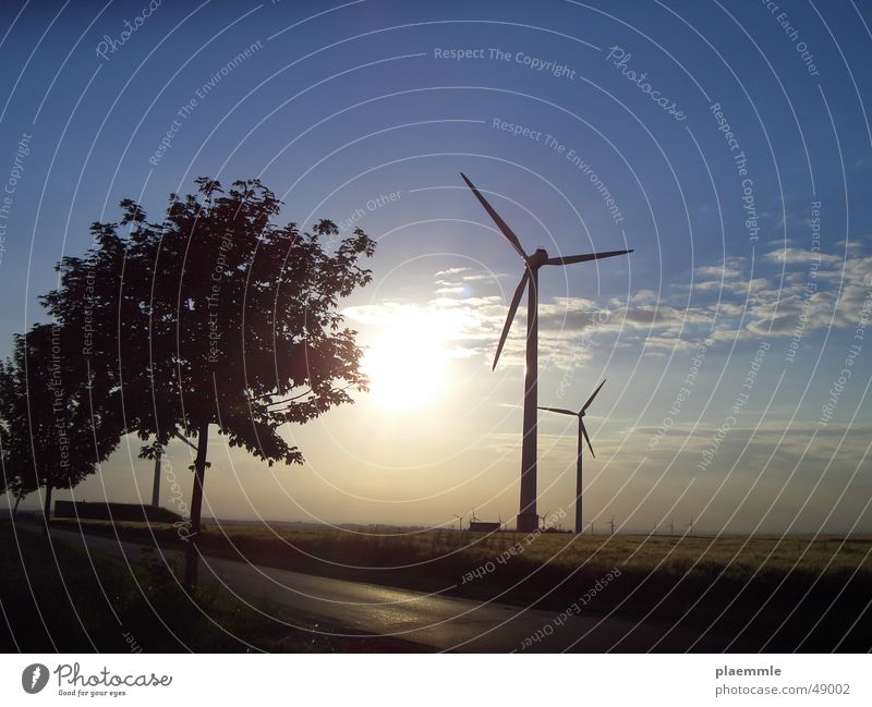 Wind Baum Windkraftanlage Sonne Himmel Natur