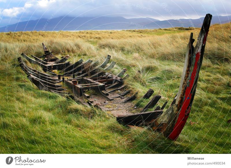 Schiffswrack Umwelt Natur Landschaft Wiese kaputt Irland Farbfoto Außenaufnahme