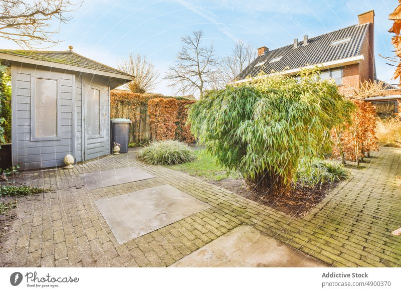 Hinterhof eines Hauses mit Bäumen und Grünpflanzen Pflanze Baum Gras grün im Freien Außenseite heimwärts Architektur Garten hölzern keine Menschen außerhalb