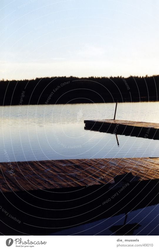 wo geht's lang? Steg See Meer Wald Sonnenuntergang Horizont Wasser blau