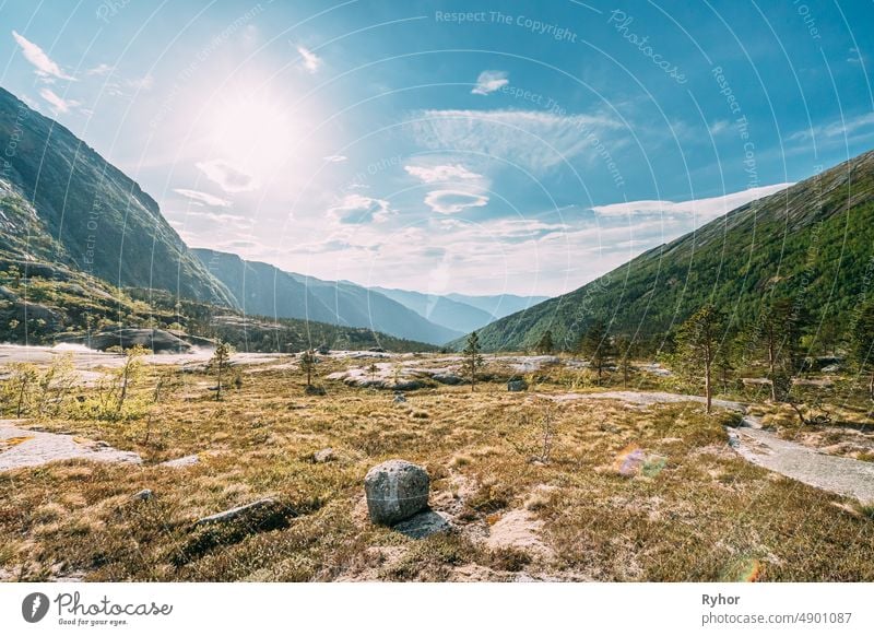 Kinsarvik, Hordaland, Norwegen. Sommerwald in der Hardangervidda-Hochebene. Berühmtes norwegisches Wahrzeichen und beliebtes Reiseziel Kinso Bergplateau