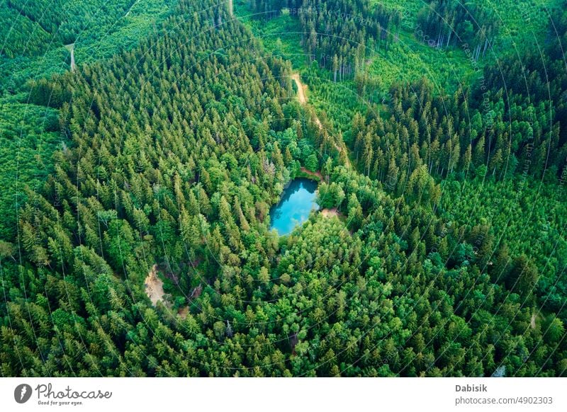 Luftaufnahme eines blau gefärbten Waldsees in Polen blauer See Antenne grün Teich farbenfroh Ansicht oben Top Wasser Herz wild Farbe Erholung Berge u. Gebirge