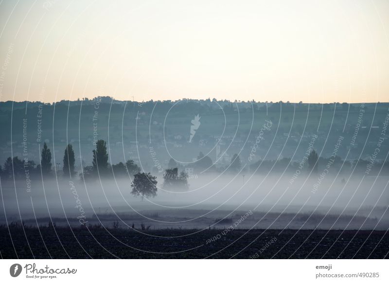 Morgennebel Umwelt Natur Landschaft Herbst Nebel Feld dunkel kalt blau Farbfoto Gedeckte Farben Außenaufnahme Menschenleer Textfreiraum oben Morgendämmerung