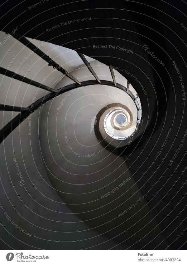 Dieses schöne gewundene Treppenhaus mit Wendeltreppe wickelt sich in die Höhe und gibt mir das Gefühl, in einem Schneckenhaus zu sein. Innenaufnahme Architektur