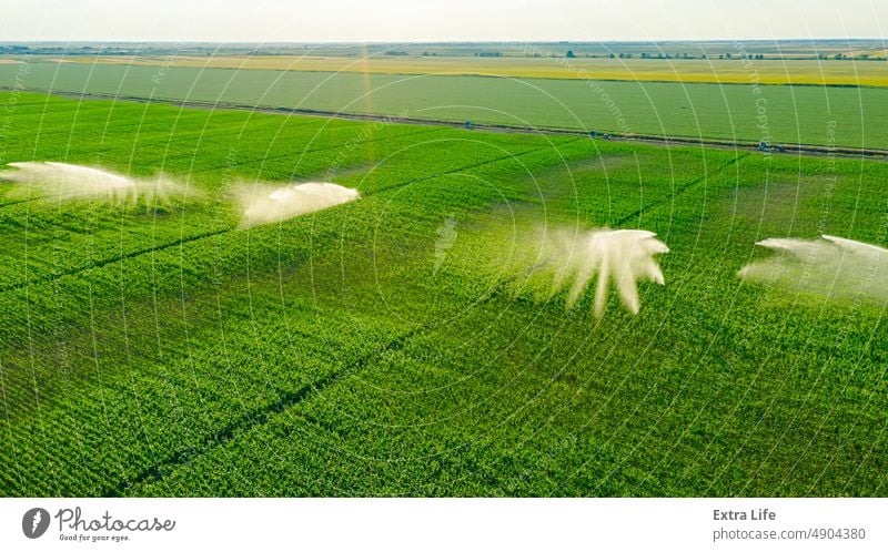 Blick von oben auf einen landwirtschaftlichen Hochdruck-Wassersprinkler, der Wasserstrahlen zur Bewässerung von Maiskulturen aussendet Antenne Ackerbau Müsli