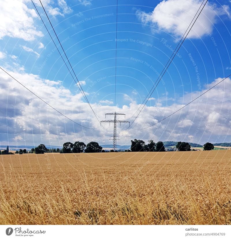 Ein Mast im Kornfeld, der hat niemals frei ...... Strom Strommast Leitung Kabel Hochspannung Energie Feld Acker Getreide Elektrizität Energiewirtschaft