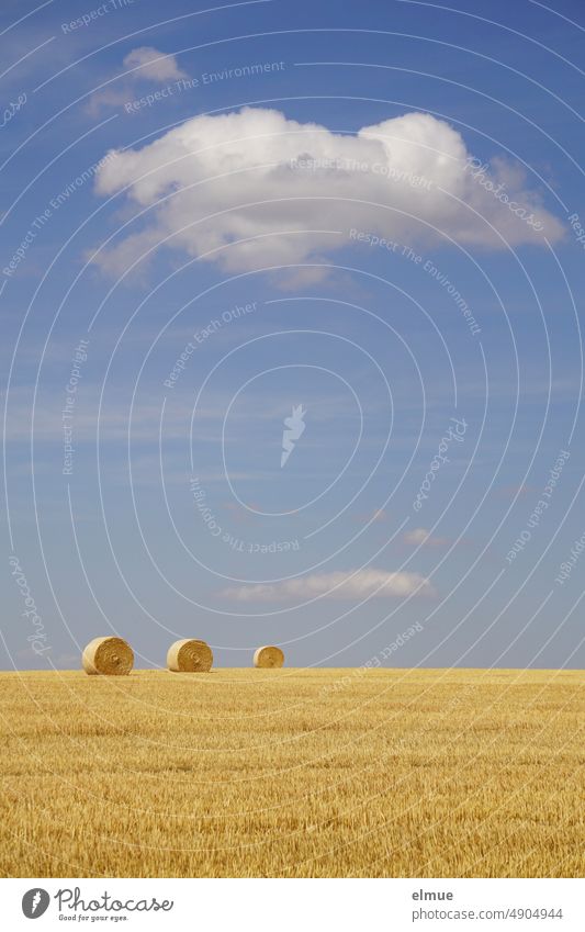 Drei Strohrundballen auf einem Stoppelfeld mit hellblauem Himmel und einer großen weißen Dekowolke / Sommer Strohballen Getreideernte unterwegs Feld himmelblau