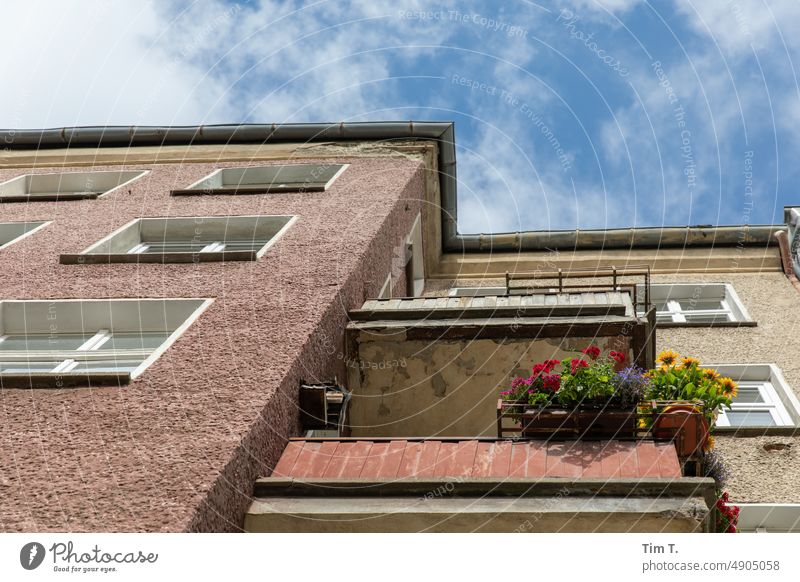 Zwei Balkone in Prenzlauer Berg Farbfoto Sommer Berlin Stadt Außenaufnahme Menschenleer Stadtzentrum Hauptstadt Altstadt Tag Haus Fenster Altbau Bauwerk Gebäude