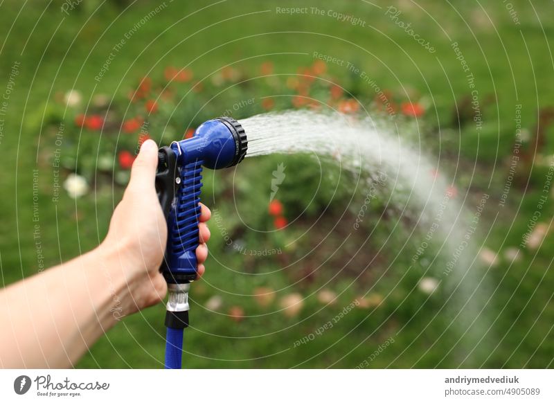 Bewässerung grünen Garten mit Outdoor-Schlauch. Hand mit Schlauch sprinkle Bewässerung Pflanzen im Garten. Bewässerung Rasen oder Pflanzen auf Hinterhof. Gärtner Mann mit Sprinkler im Garten