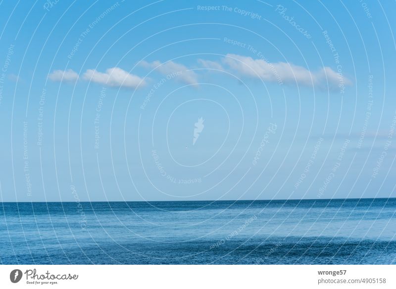 Blaue See, blauer Himmel und ein paar Schönwetterwolken Ostsee Blauer Himmel Meerblick Horizont Horizont über dem Wasser Natur Außenaufnahme Farbfoto