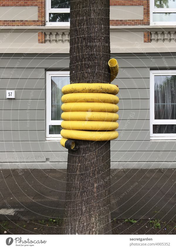 Stoßdämpfer an der 57 Ordnung Baum Gebäude Stadt Schutz Prävention Baumstamm Bürgersteig gelb Farbfoto Außenaufnahme Menschenleer Tag Fassade Straße Sicherheit