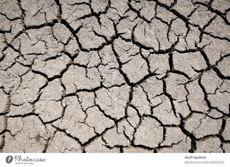 Ausgetrockneter See im Detail in Bayern/Franken II Riss Wüste Dürre Wetter Erwärmung Oberfläche Sommer heiß braun Boden Muster Menschenleer Außenaufnahme