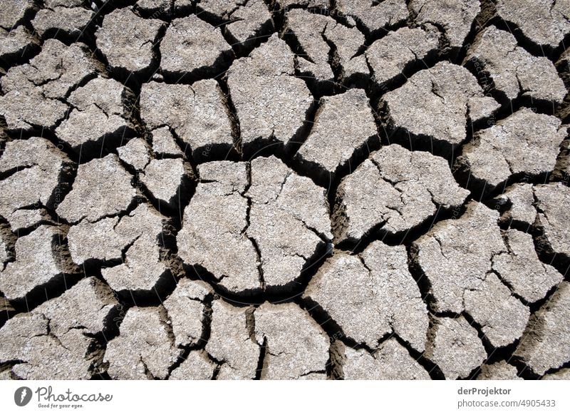 Ausgetrockneter See im Detail in Bayern/Franken Riss Wüste Dürre Wetter Erwärmung Oberfläche Sommer heiß braun Boden Muster Menschenleer Außenaufnahme trocken