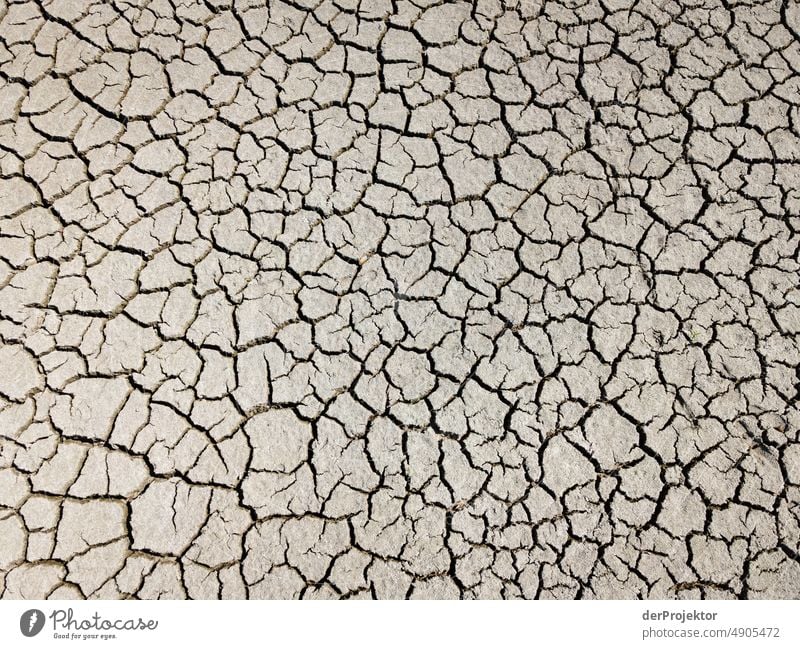 Ausgetrockneter See im Detail in Bayern/Franken III Riss Wüste Dürre Wetter Erwärmung Oberfläche Sommer heiß braun Boden Muster Menschenleer Außenaufnahme