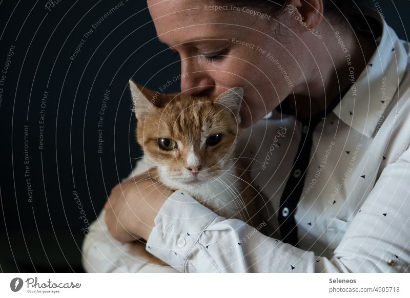 Lieblingswesen Katze Haustier Tierliebe Mensch weiblich Frau Liebe schmusen Farbfoto Tierporträt Innenaufnahme Blick niedlich Tiergesicht Fell schön