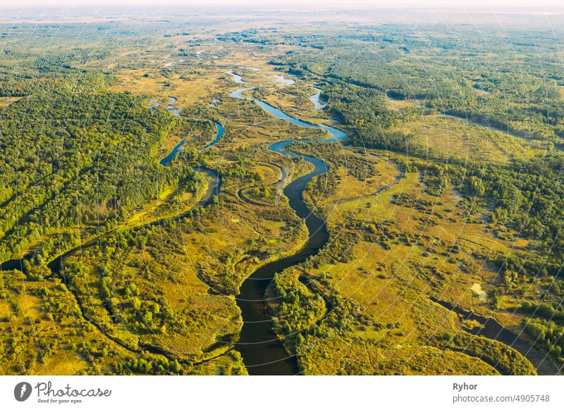 Luftaufnahme Grüner Wald Wälder und Flusslandschaft in sonnigen Sommertag. Top View of Beautiful European Nature From High Attitude In Summer Season. Drone Ansicht. Vogelperspektive Ansicht