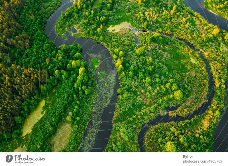 Luftaufnahme Grüner Wald Wälder und Flusslandschaft im sonnigen Frühling Abend. Top View of Beautiful European Nature From High Attitude In Summer Season. Drone Ansicht. Vogelperspektive Ansicht