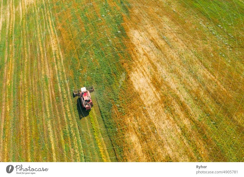 Luftaufnahme einer ländlichen Landschaft. Mähdrescher arbeitet im Feld, sammelt Samen. Ernte von Weizen im Spätsommer. Landwirtschaftliche Maschine Sammeln Golden Ripe. Vogelperspektive Drohne Ansicht