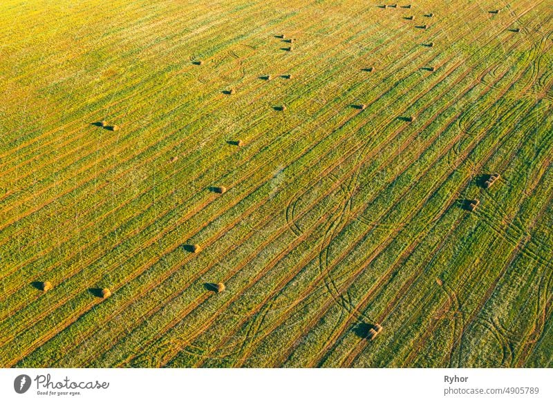 Luftaufnahme von Sommer Feld Landschaft mit mit trockenen Heuballen während der Ernte. Trails Lines auf Ackerland. Top View Landwirtschaftliche Landschaft. Drone Ansicht. Vogelperspektive