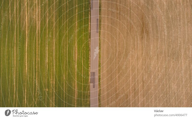 Blick auf ein Getreidefeld und Felder mit unterschiedlicher Vegetation in der Nähe von Kyjov, Südmähren, Tschechische Republik. Landschaft mit landwirtschaftlichen Feldern. Landwirtschaftliche Produktivität