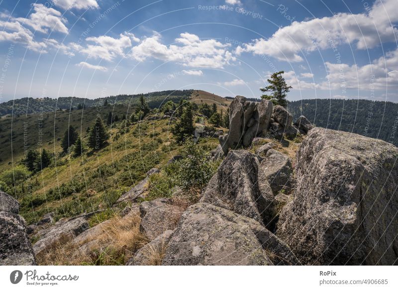 Wanderung in den Vogesen. Berg Gebirge Mittelgebirge Hügel Tal Fluss See Bach valley Landschaft landscape Frankreich france wandern hiking Erholung Ruhe stille