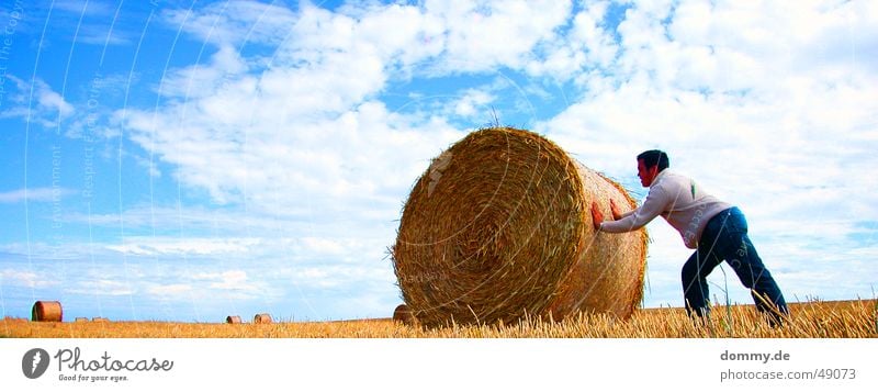 harte Arbeit II Arbeit & Erwerbstätigkeit Mann Hose Weste schieben Wiese Feld Sommer dommy thomas Haare & Frisuren Rolle Strohballen Sonne blau ansträngend