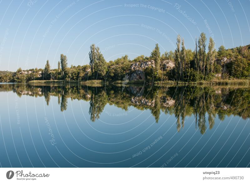 Perfekte Spiegelung der Uferlandschaft Ferien & Urlaub & Reisen Landschaft Wasser Wolkenloser Himmel Horizont Sommer Schönes Wetter Baum Wald Seeufer Einsamkeit