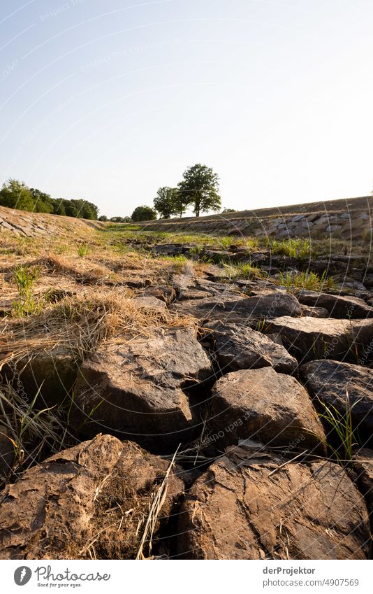 Ausgetrockneter Fluß "Schwarze Elster" in Brandenburg Brandenburg II Riss Wüste Dürre Wetter Erwärmung Oberfläche Sommer heiß braun Boden Muster Menschenleer