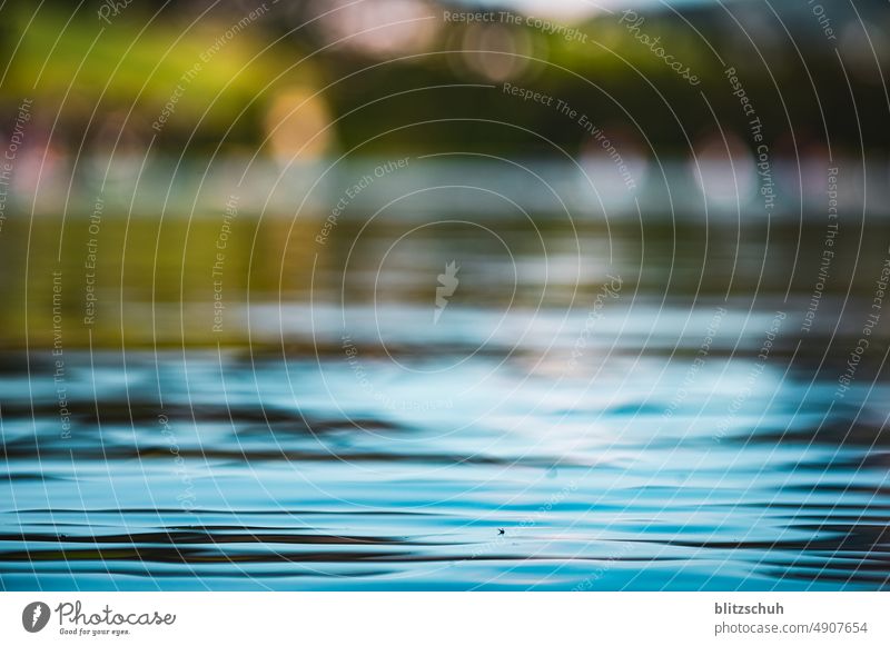 Wasseroberfläche in Bergsee wassersportler surfen blau bergsee natur tourismus berge schweiz switzerland suisa suisse lenzerheide ferienort Berge u. Gebirge