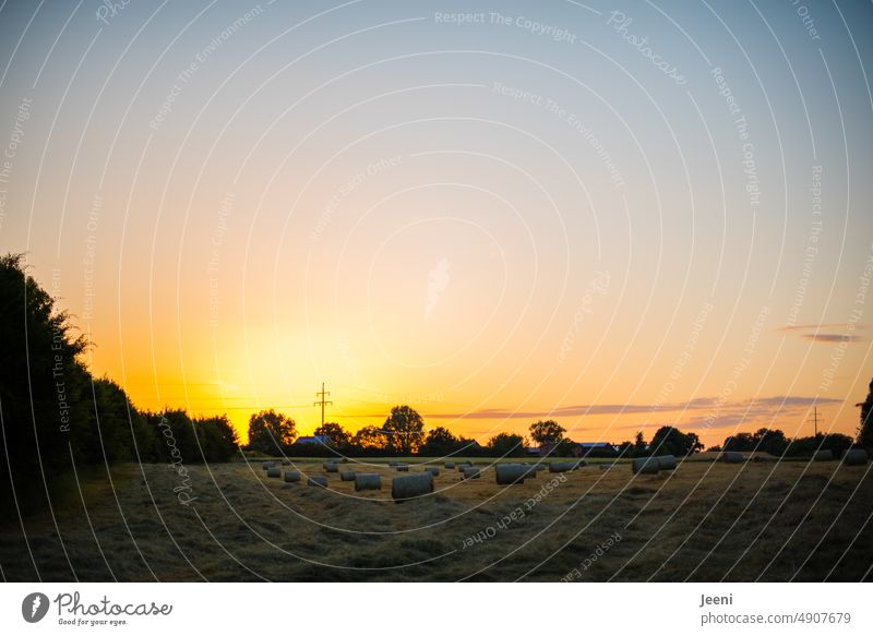 Heuballen Dorf Dorfidylle Sonnenlicht Sonnenuntergang Feld Landwirtschaft Sommer Wiese Ernte Gras Ackerbau Landschaft ländlich gelb natürlich Umwelt