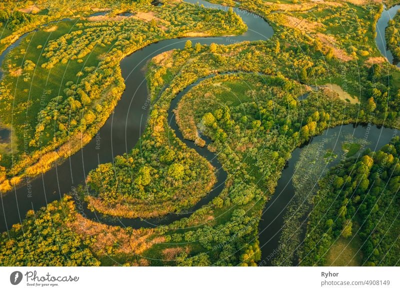 Luftaufnahme Grüner Wald Wälder und Flusslandschaft im sonnigen Frühling Abend. Top View of Beautiful European Nature From High Attitude In Summer Season. Drone Ansicht. Vogelperspektive Ansicht