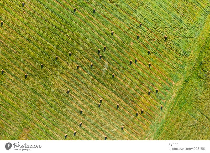 Luftaufnahme von Sommer Feld Landschaft mit mit trockenen Heuballen während der Ernte. Trails Lines auf Ackerland. Top View Landwirtschaftliche Landschaft. Drone Ansicht. Vogelperspektive