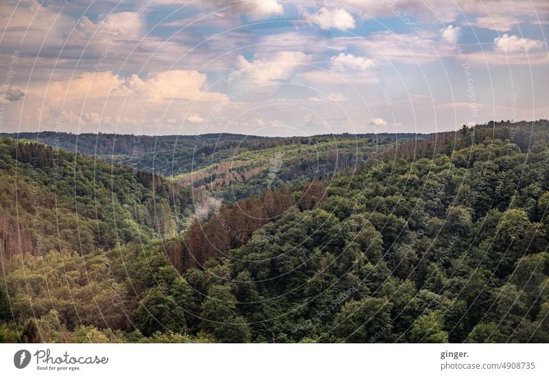 Blick von der Müngstener Brücke Himmel Wald Landschaft von oben grün Hügel Natur Sommer Umwelt Tag Menschenleer Außenaufnahme Textfreiraum oben Schönes Wetter