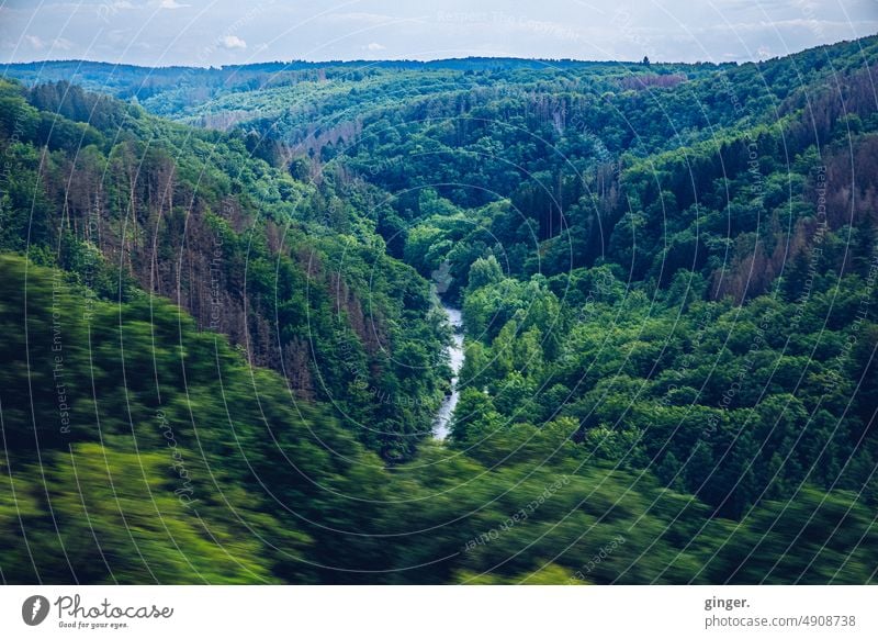 Blick auf die Wupper im Tal Himmel Wald Landschaft von oben grün Hügel Natur Sommer Umwelt Tag Menschenleer Außenaufnahme Textfreiraum oben Schönes Wetter